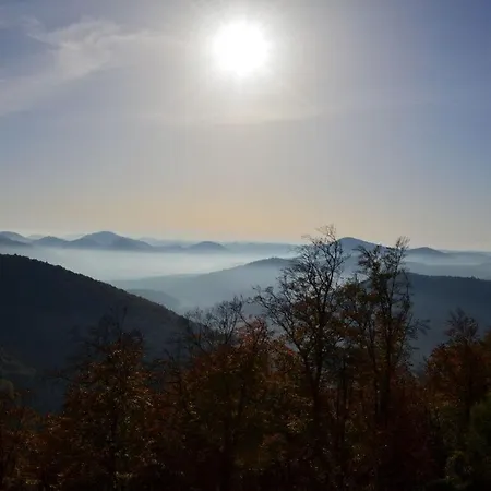 Palatinate Forest Comfortable Silz (Rhineland-Palatinate)
