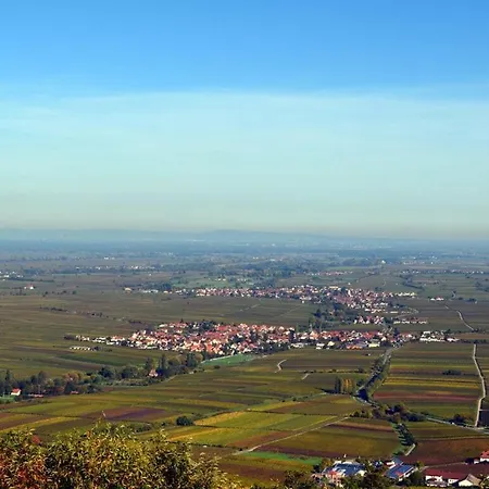 Holiday home Palatinate Forest Comfortable