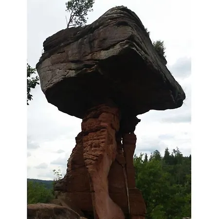 Palatinate Forest Comfortable Silz (Rhineland-Palatinate)
