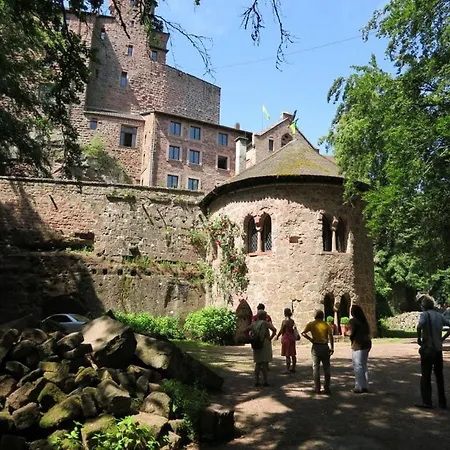 Palatinate Forest Comfortable *