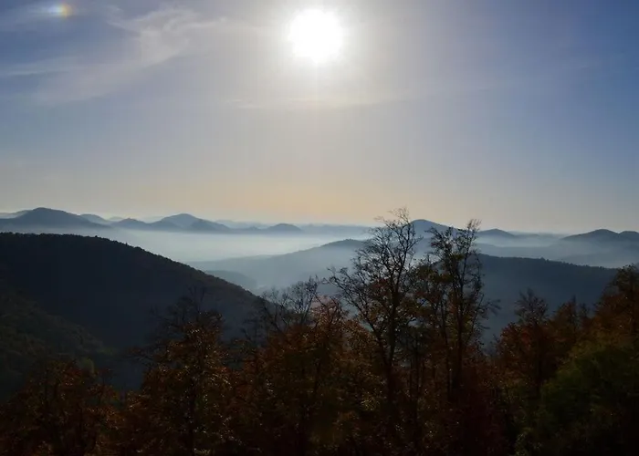 Palatinate Forest Comfortable Silz (Rhineland-Palatinate)