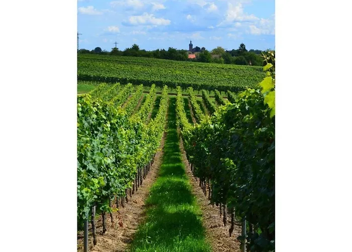 Palatinate Forest Comfortable Casa de Férias