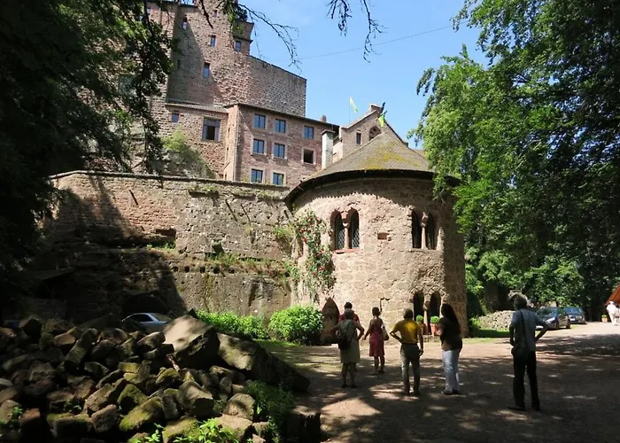 Palatinate Forest Comfortable *